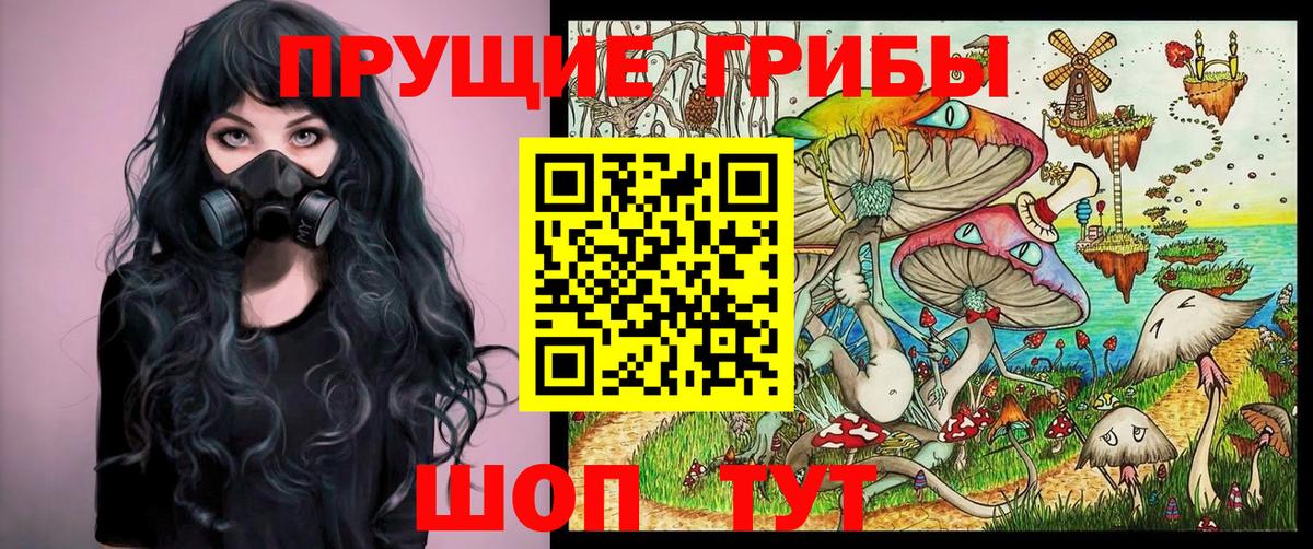 Псилоцибиновые грибы MAGIC MUSHROOMS Дивногорск